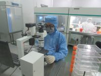 骨髓间充质干细胞培养、脂肪干细胞培养、心肌成纤维细胞培养、软骨细胞培养