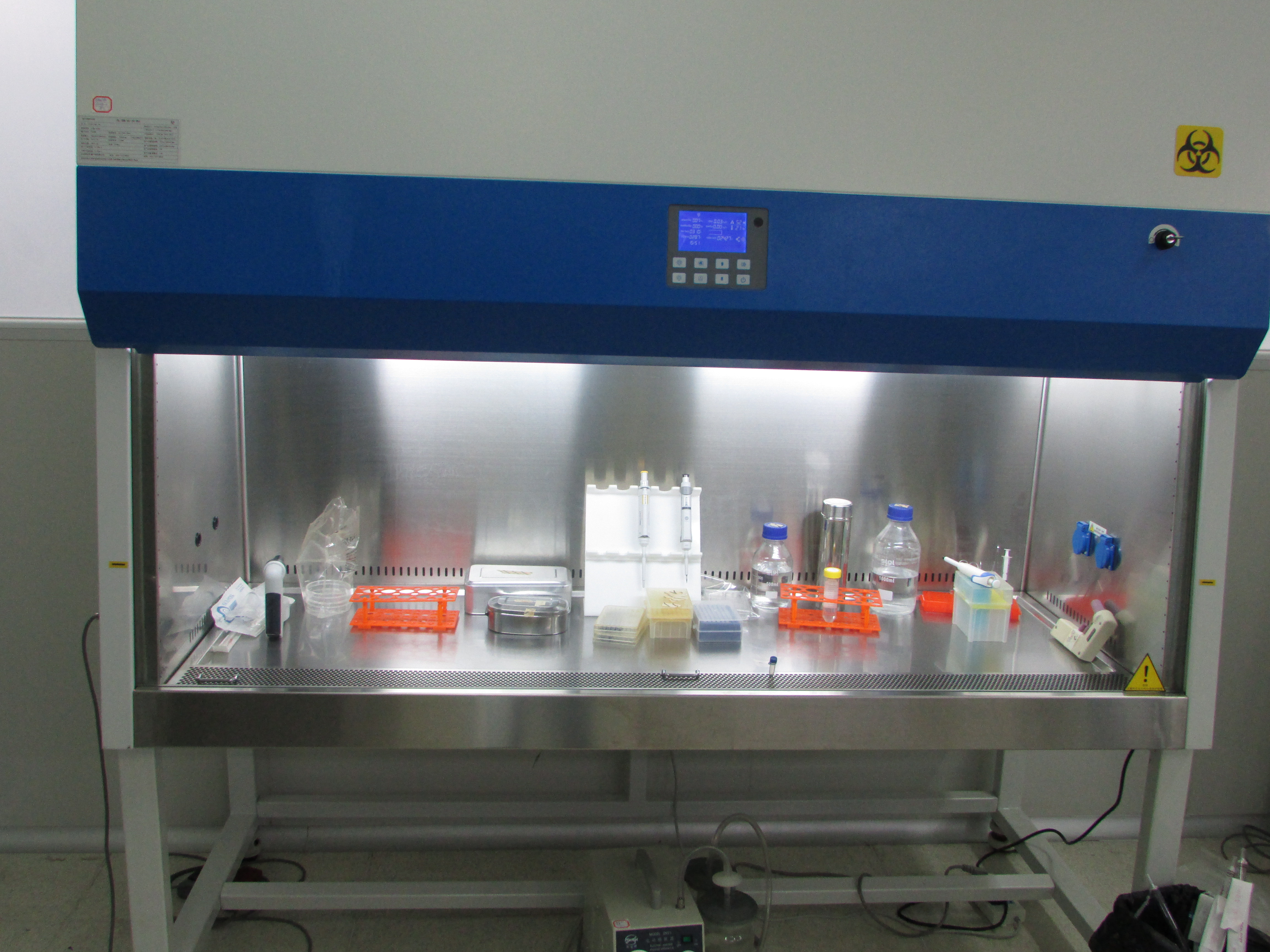 实验技术外包服务和细胞鉴定、永生化