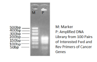 高保真二代测序DNA文库制备PCR反应液 2X HiFi PCR Master Mix For DNA library preparation