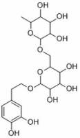 连翘酯苷E
