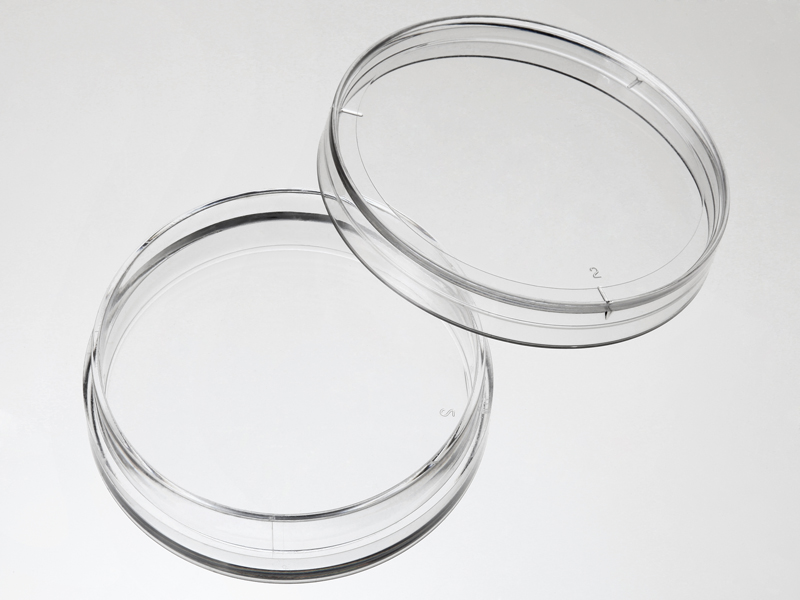 010035 35mm细胞培养皿