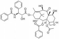 10-去乙酰紫杉醇;7-表-去乙酰基紫杉醇