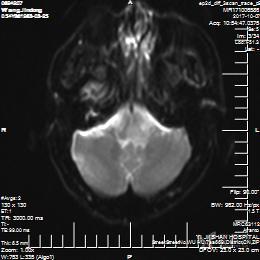 3253894425671369256-8w.jpg