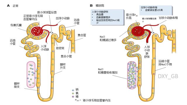 Slide5.JPG