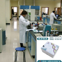 Sci70抗体酶免检测试剂盒（大鼠/猪等）促销供应