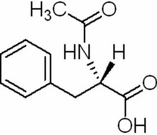 N-乙酰-L-苯丙氨酸