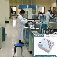 [JL14030] 人幽门螺杆菌抗体IgG(HP-IgG)ELISA试剂盒
