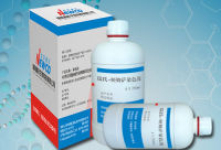 瑞氏-姬姆萨染色液