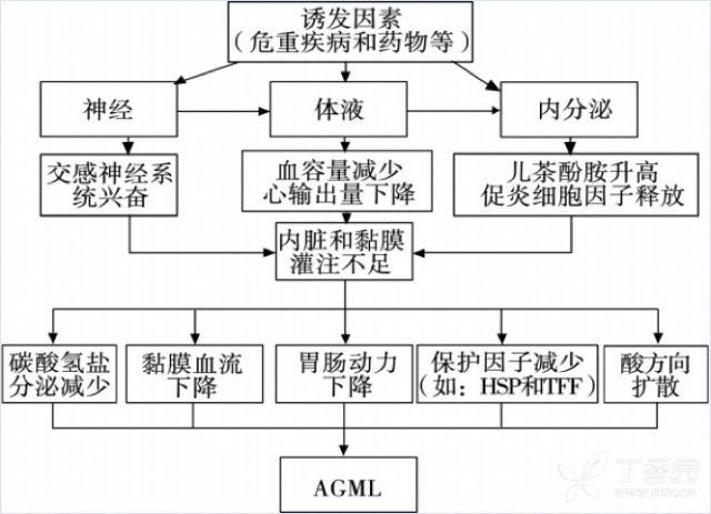 急性心梗合并休克禁用 心梗合并急性胃粘膜病变，如何治疗？