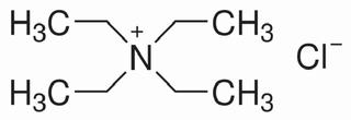 四乙基氯化铵