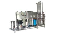 反渗透+EDI 制程工业用纯水机