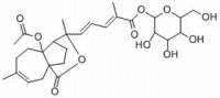 土槿皮甲酸-O-β-D-葡萄糖苷