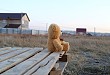 患儿不明原因抽搐，家属却隐瞒了关键信息……