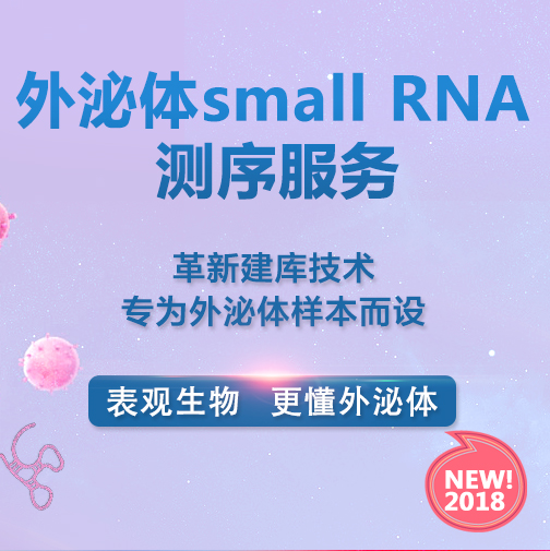 外泌体small RNA测序服务
