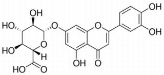 木犀草素-7-O-β-D-葡萄糖醛酸苷
