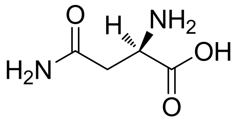 D-天冬酰胺