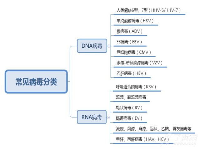 抗病毒药有哪些 病毒性感染：什么时候用抗病毒药？什么时候不引荐？