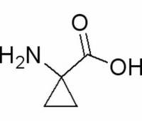 1-氨基环丙烷羧酸
