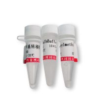 GL1339型细菌冻存液大量库存促销