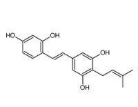 4-异戊烯基氧基白藜芦醇