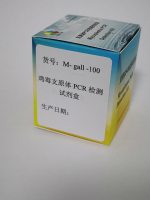 鸡毒支原体PCR检测试剂盒