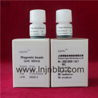 提取高纯度磁珠