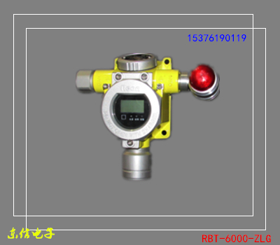 恒瑞安一氧化碳点型气体探测器