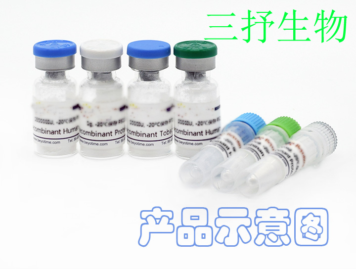 免疫组化AMH的一抗、二抗