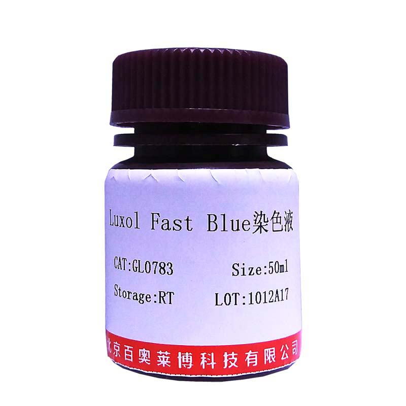 核酸印迹膜染液现货