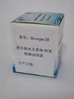 绵羊肺炎支原体PCR检测试剂盒
