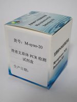 滑液支原体PCR检测试剂盒