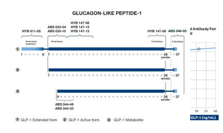 Anti-GLP-1 (Non-amidated (-Arg-Gly), C-terminal specific)