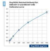Anti-NGAL (dog)