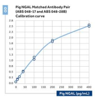 Anti-NGAL (pig)