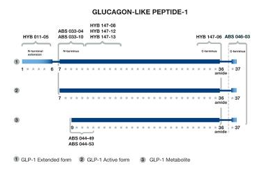 Anti-GLP-1 (Mid-molecule specific)