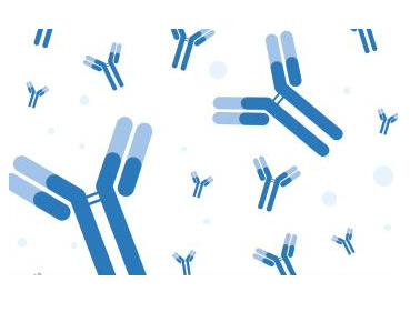 Anti-Influenza A virus nucleoprotein