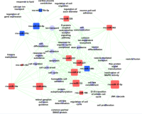 miR和功能/信号通路的调控网络 microRNA Target GO/Pathway Network