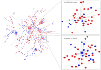 共表达调控网络Coexpression Network（mRNA-mRNA/mRNA-lncRNA）