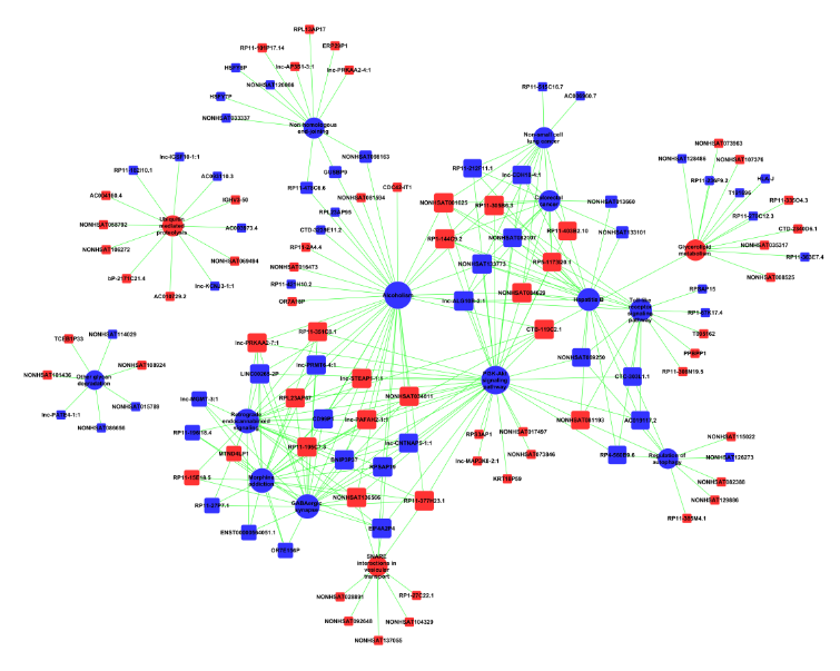 lnc和信號通路的調控網絡  lncRNA Target Pathway Network