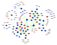 lnc和信号通路的调控网络 lncRNA Target Pathway Network