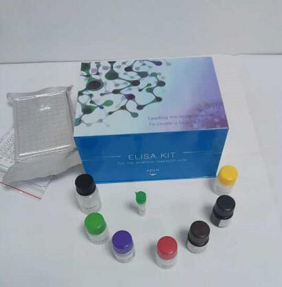 大鼠白介素4（IL-4）ELISA 试剂盒促销