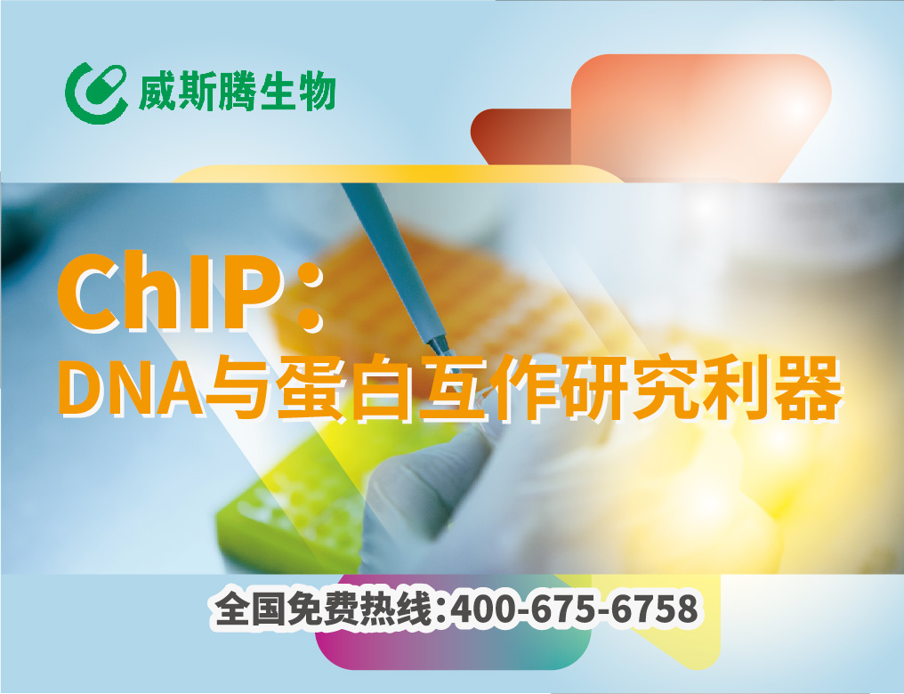 ChIP-qPCR检测服务（威斯腾生物-中关村生物医学研发检测共享平台！）