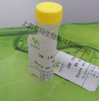 Rabbit Anti-FNDC4 antibody