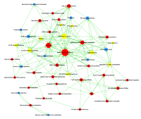 信号通路网络Pathway Network