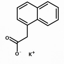 α-萘乙酸钾,BR,95%