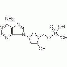 2′-脱氧腺苷-5′-单磷酸 ,98%