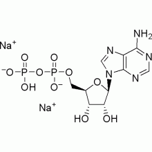 腺苷-5‘-二磷酸钠盐水合物 纯度》95%，hplc》98%