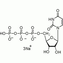 5-尿苷三磷酸三钠盐,高纯,98%