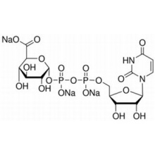 尿苷二磷酸葡糖醛酸,生物技术级,98%