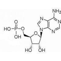5‘-腺苷酸，	高纯，98%